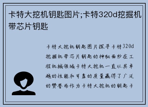 卡特大挖机钥匙图片;卡特320d挖掘机带芯片钥匙